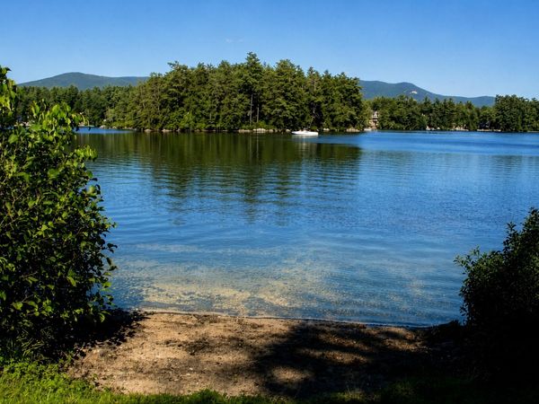 81 Buzzell Cove Road, Moultonborough, NH 03254