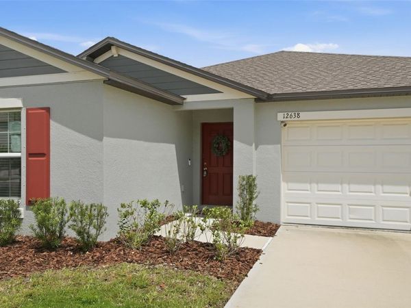 12638 MAPLE BONSAI DRIVE , RIVERVIEW, FL 33579