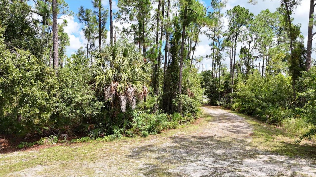 2449 Tropicaire Boulevard, North Port, FL 34286 Photo