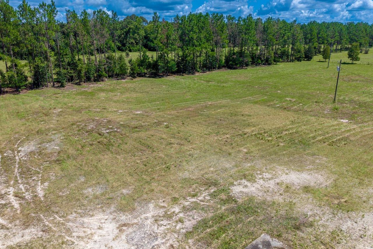 6900 SW 50th Avenue , Trenton, FL 32693 Photo