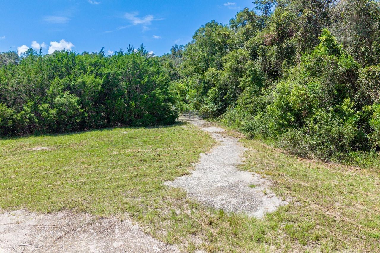 6900 SW 50th Avenue , Trenton, FL 32693 Photo
