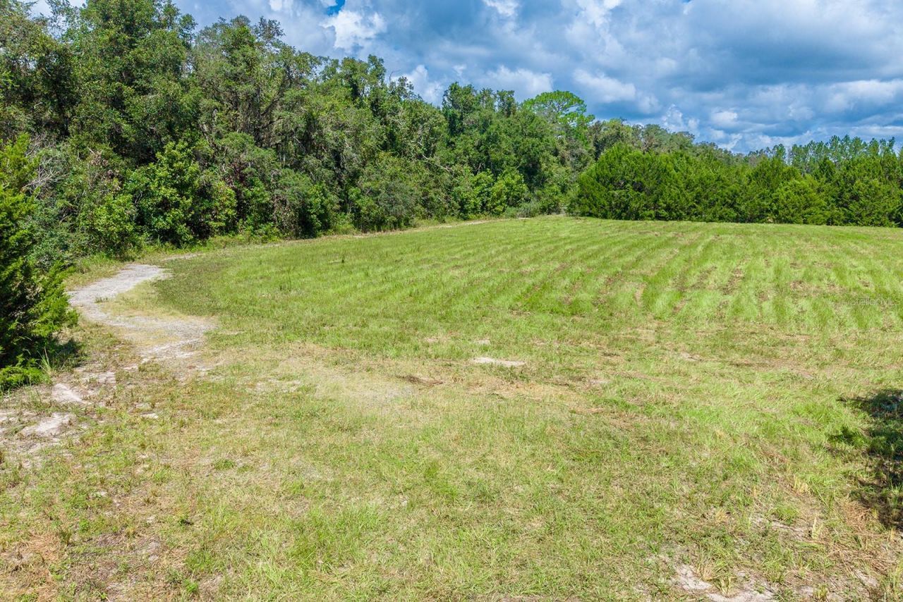 6900 SW 50th Avenue , Trenton, FL 32693 Photo
