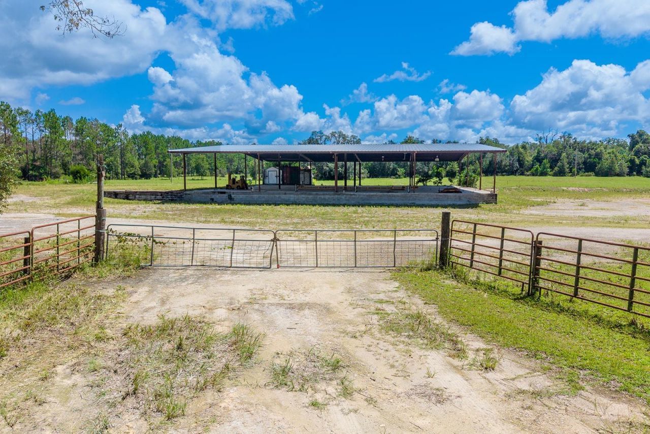 6900 SW 50th Avenue , Trenton, FL 32693 Photo