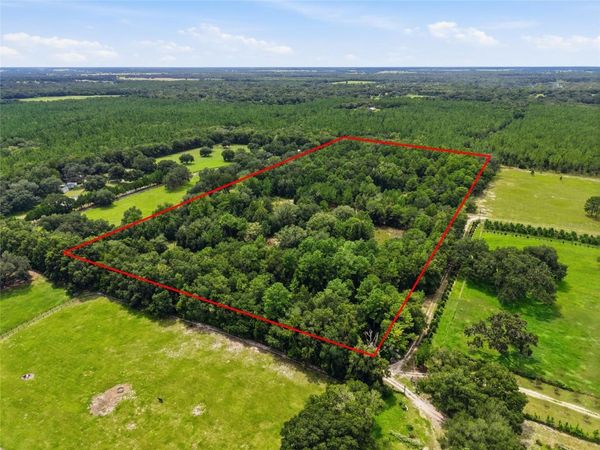 SE 207 COURT, MORRISTON, FL 32668