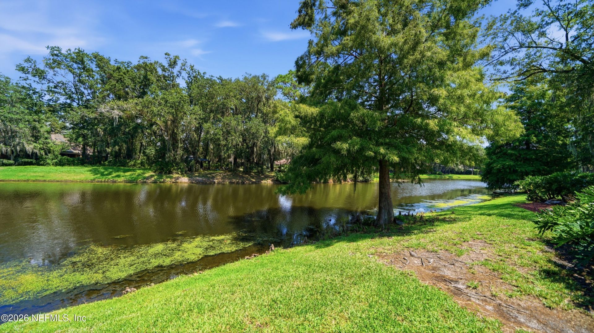 1890 Salt Myrtle Lane, Orange Park, FL 32003 Photo