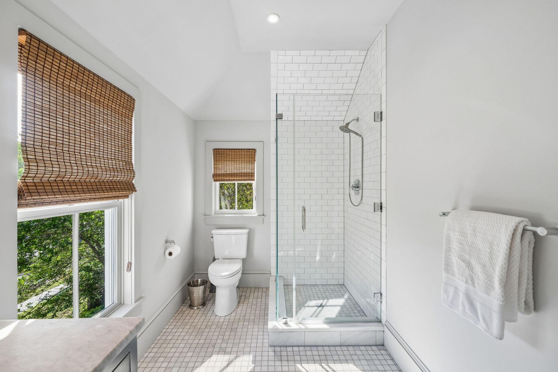 913 Pitt Street Photo 46