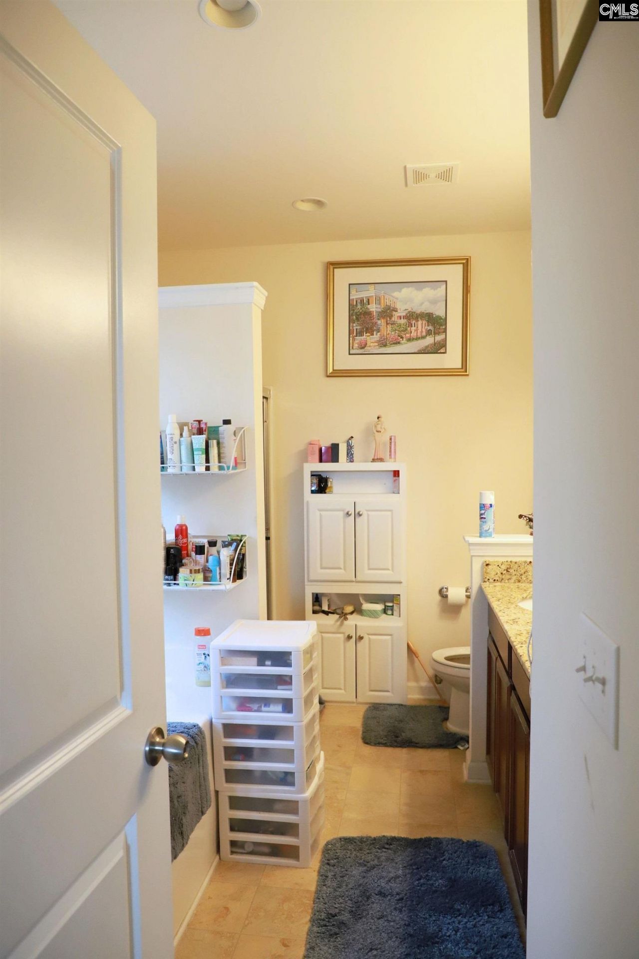 709 Spring Cress Drive Photo 29