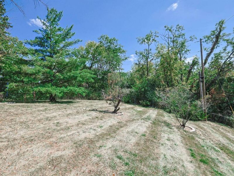 8822 Valley Circle Drive, Florence, KY 41042 Photo 35