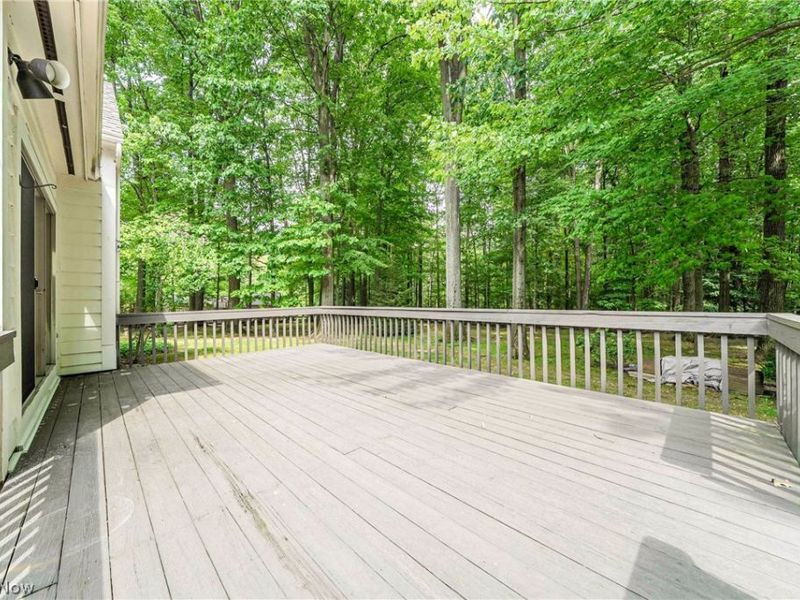 30609 Stillwater, Solon, OH 44139 Photo 43