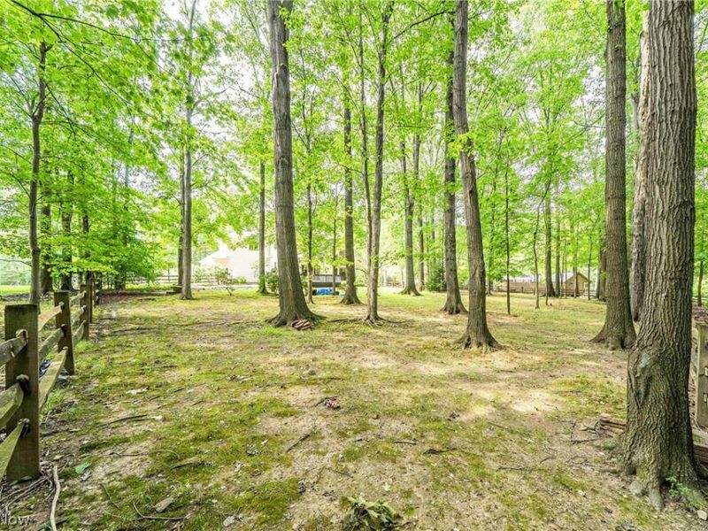 30609 Stillwater, Solon, OH 44139 Photo 47