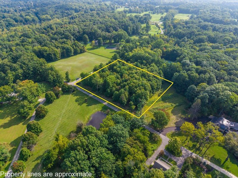 0 Lake Of The Woods Drive, Galena, OH 43021 Photo 7