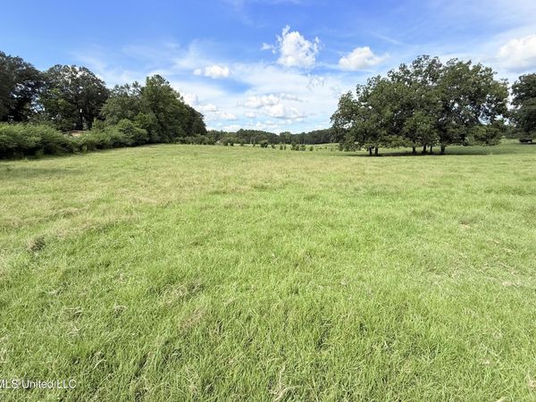 Tbd 1 Montgomery Road, Bogue Chitto, MS 39629