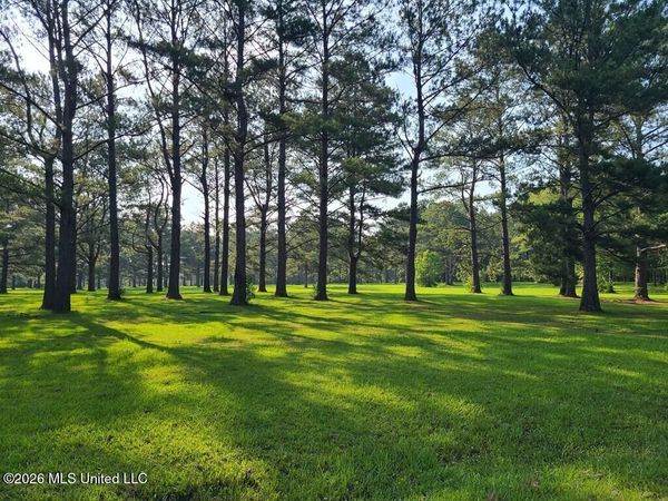 Tbd Thompson Lane, Carriere, MS 39426