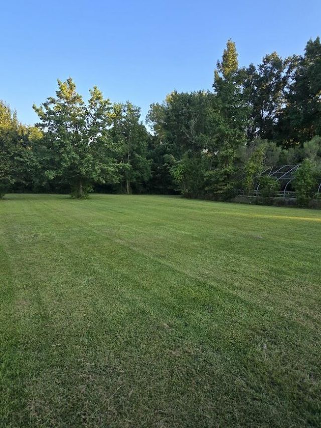 608 E Richardson Avenue Photo 14