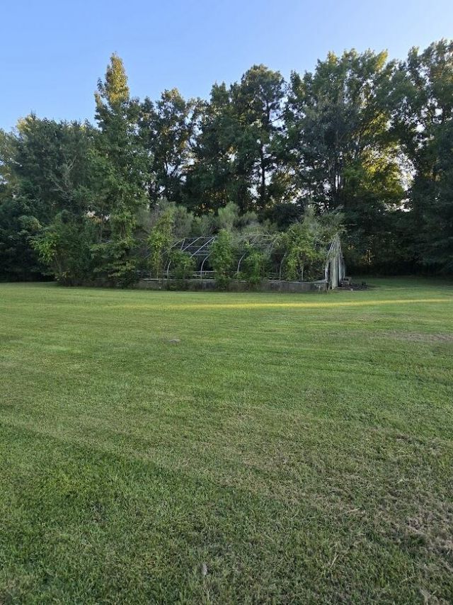 608 E Richardson Avenue Photo 15