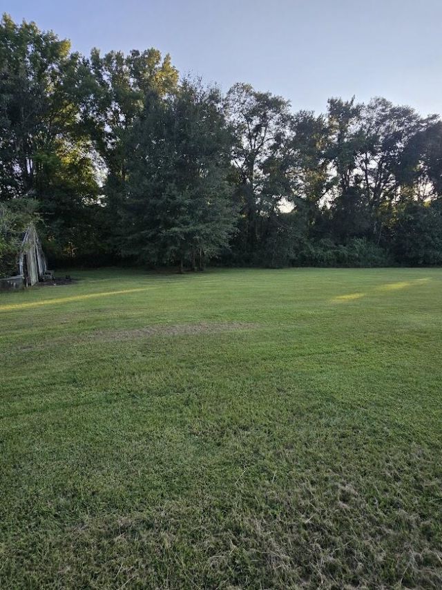 608 E Richardson Avenue Photo 16