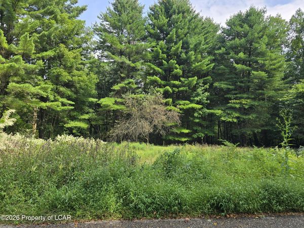 Callender Road, Hunlock Creek, PA 18621