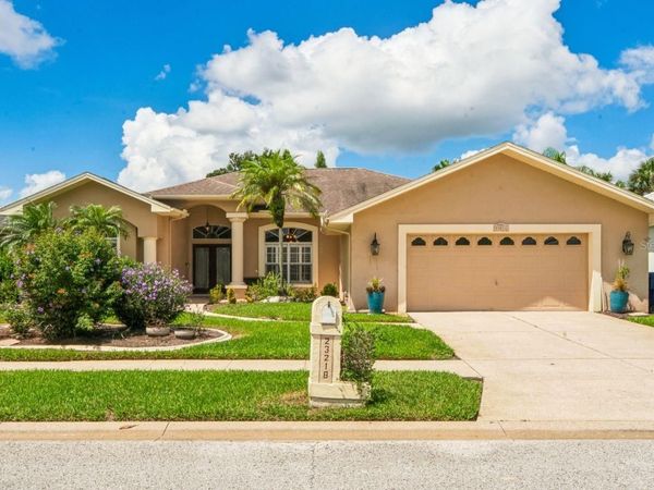 23218 CYPRESS TRAIL DRIVE, LUTZ, FL 33549