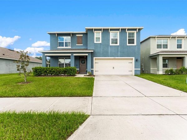 3323 LOGAN BERRY DRIVE , MOUNT DORA, FL 32757