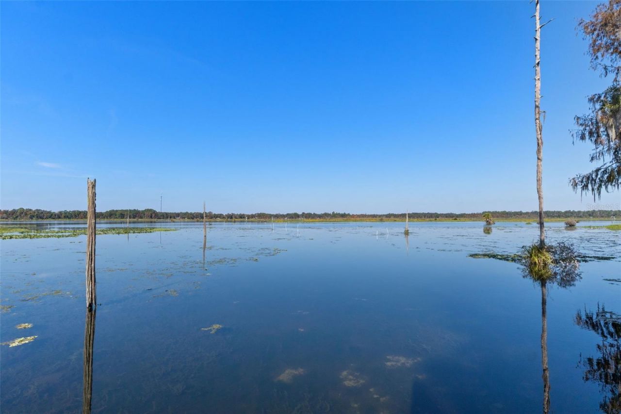 6185 W Riverbend Road, Dunnellon, FL 34433 Photo