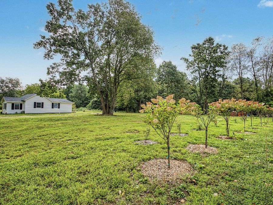Property Image 88