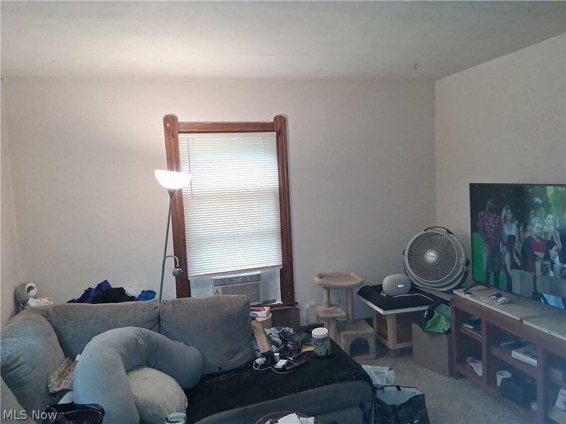 250 Harrison Street, Elyria, OH 44035 Photo 4