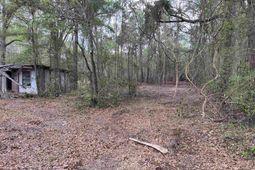 11094 Old Pee Dee Rd.  photo 4