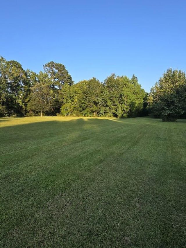 0 E Richardson Avenue Photo 12