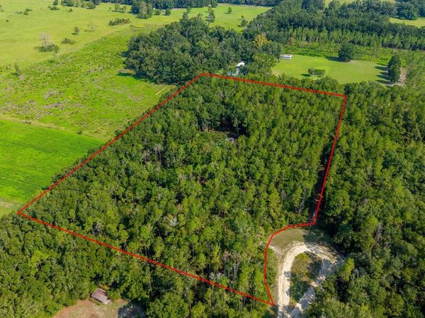 6351 NW 15TH STREET , BELL, FL 32619