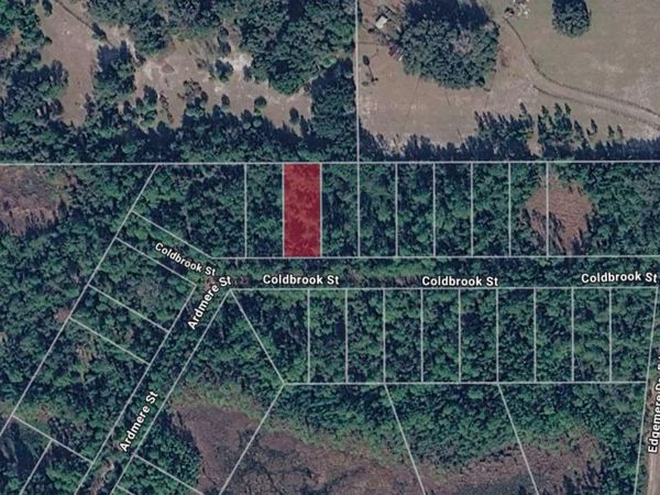 116 COLDBROOK STREET , GEORGETOWN, FL 32139