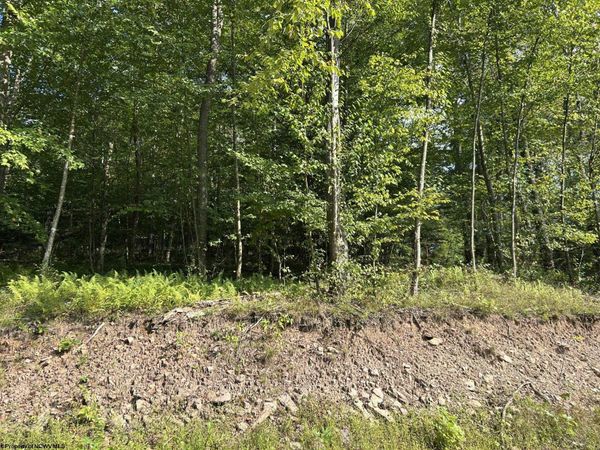 Lot 7 Possum Hollow Road, Terra Alta, WV 26764