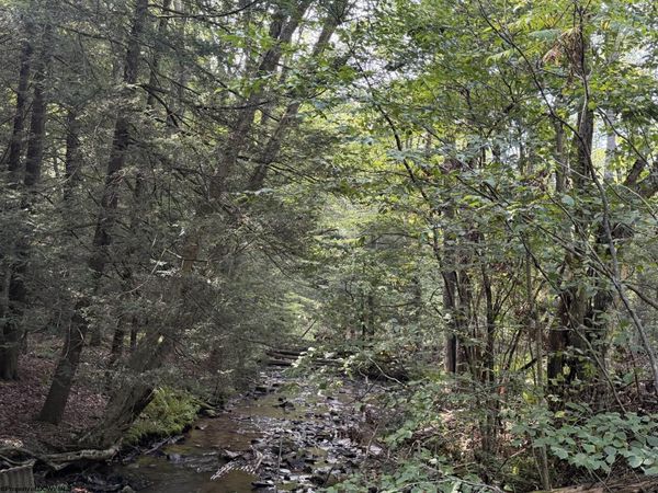 Lot 11 Copper Head Road, Terra Alta, WV 26764