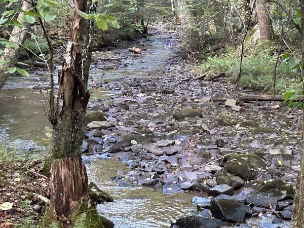 Lot 12 Copper Head Road, Terra Alta, WV 26764