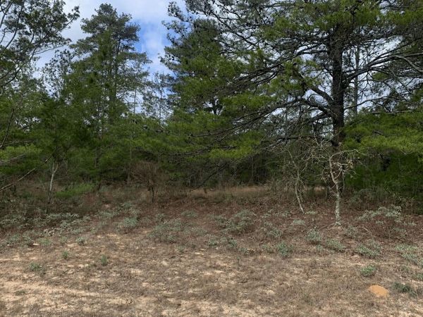 0 Ortega Court, Chipley, FL 32428