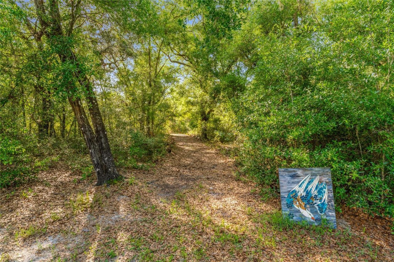 9600 E New Hope Court, Floral City, FL 34436 Photo