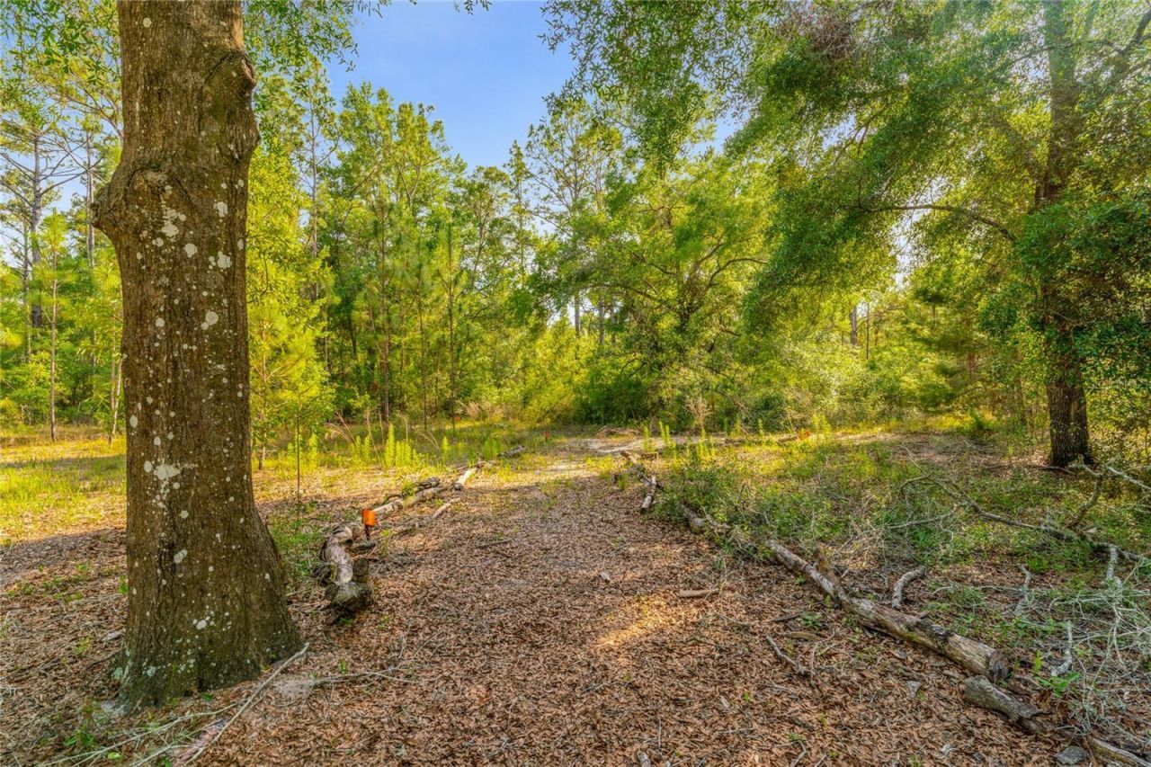 9600 E New Hope Court, Floral City, FL 34436 Photo