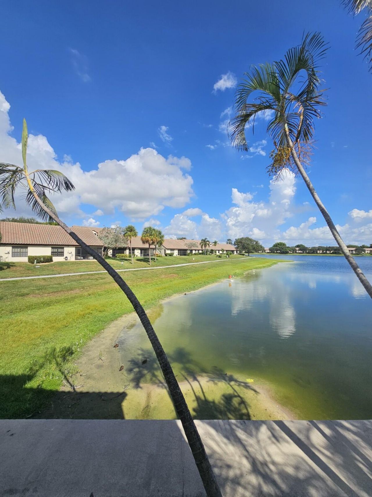 2600 Greenwood Terrace, Unit 102, Boca Raton, FL 33431 Photo