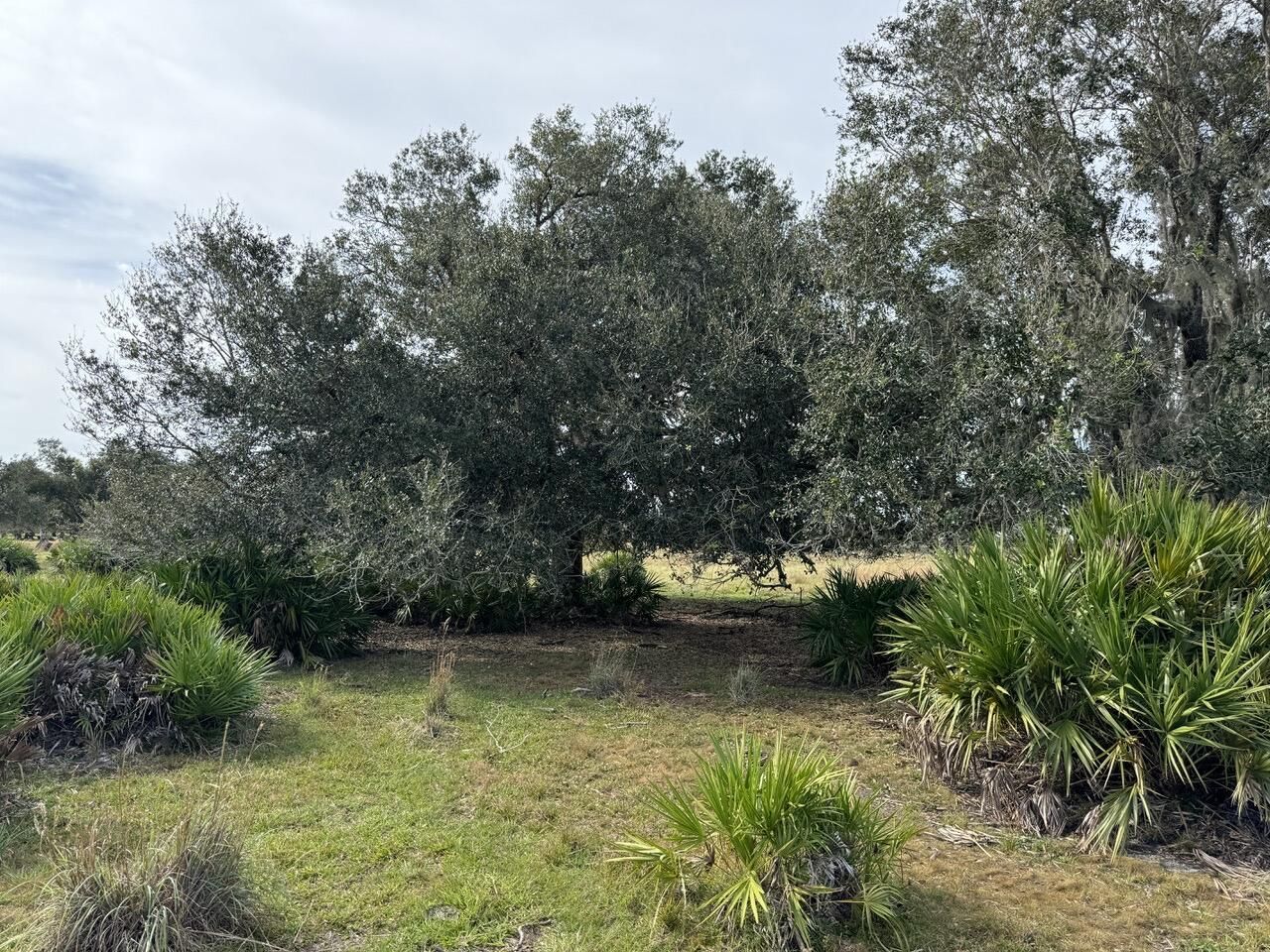 101 Percheron Trail, Venus, FL 33960 Photo