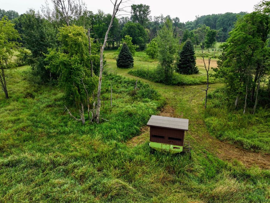 Property Image 11