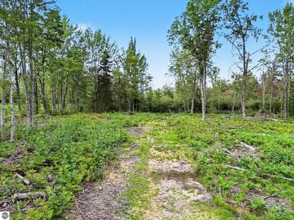 4457 West Branch Road E, Prudenville, MI 48651