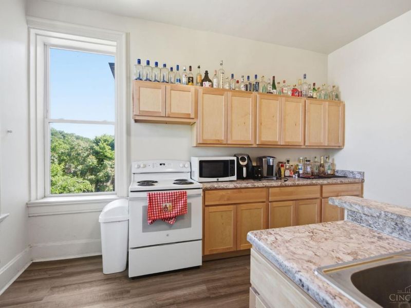 215 Warner Street, Cincinnati, OH 45219 Photo 61