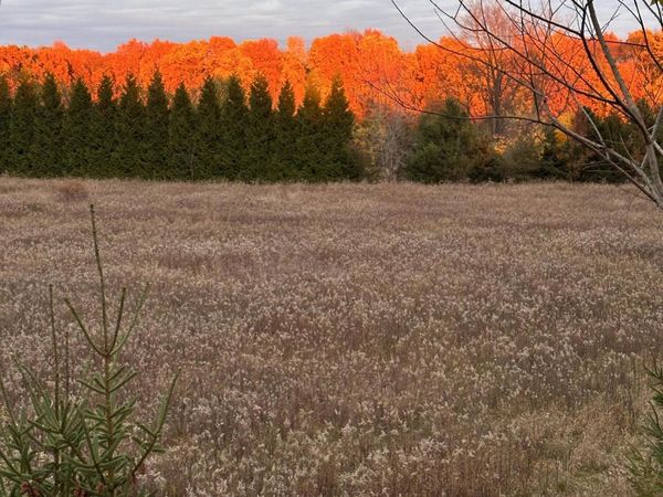 2260 N Gibbs Road, Albion, MI 49224