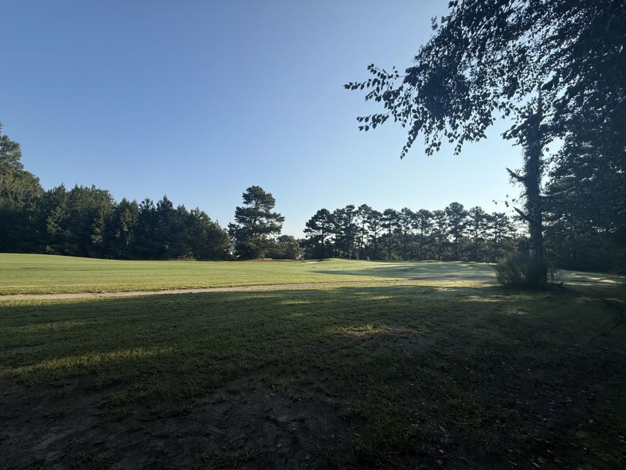 359 Cedar Grove Church Rd  Photo 10