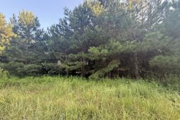 359 Cedar Grove Church Rd  photo 4