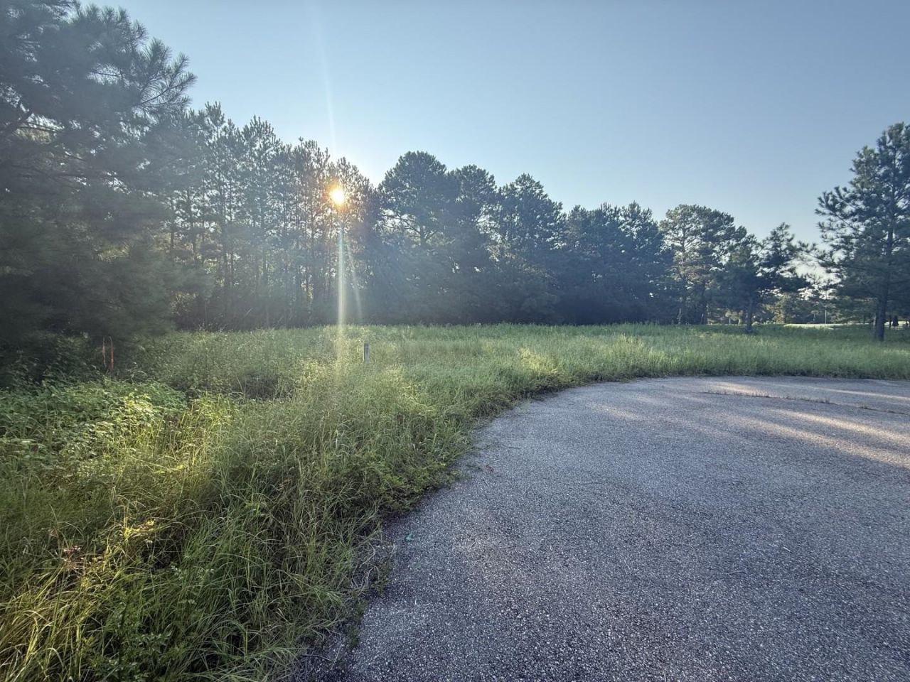 359 Cedar Grove Church Rd  Photo 5