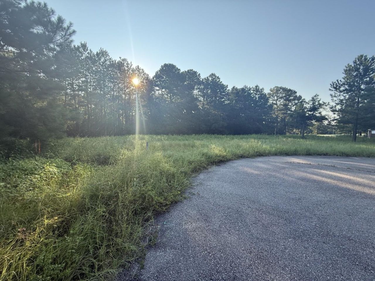 359 Cedar Grove Church Rd  Photo 6
