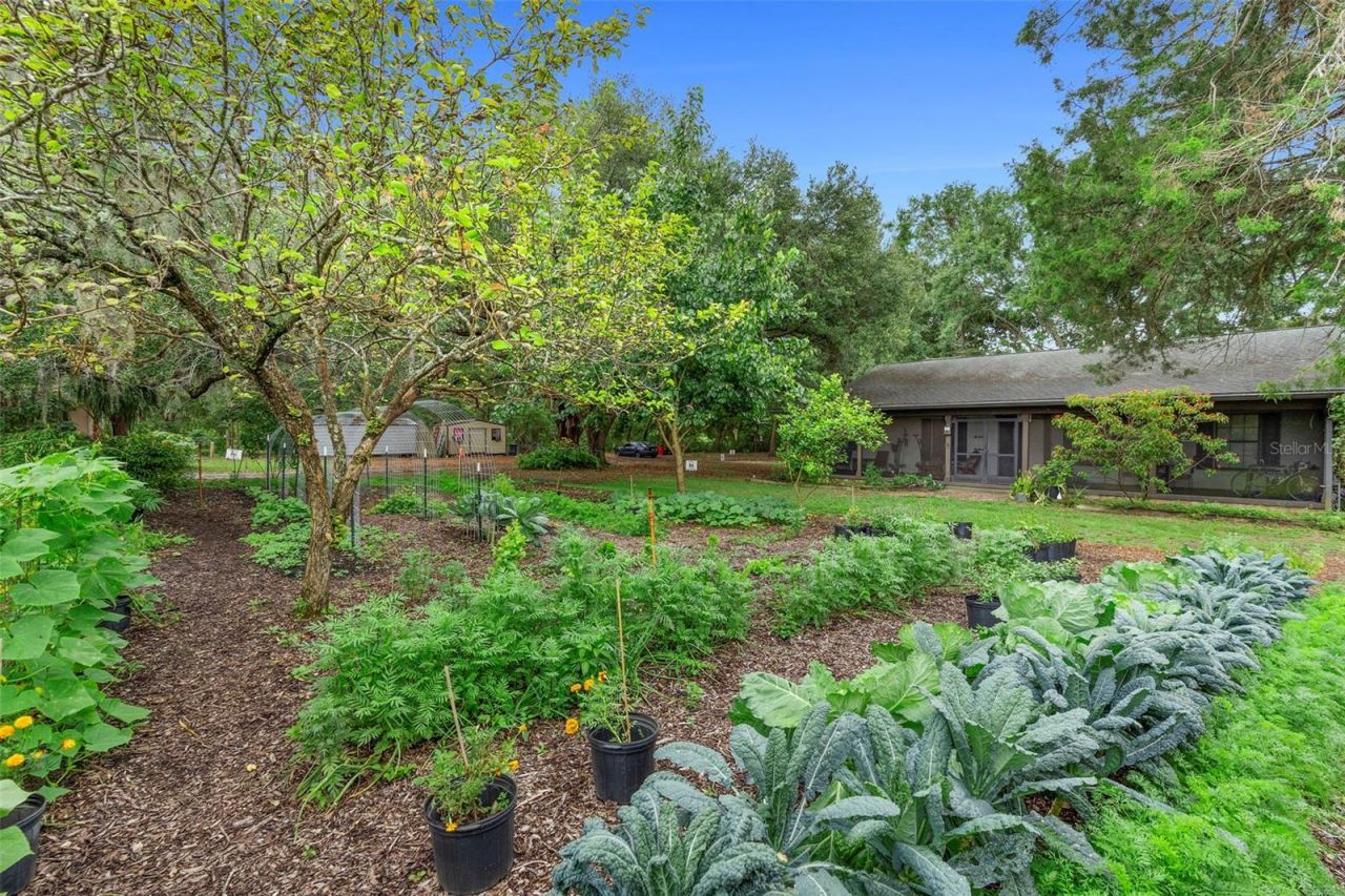 2016 Lewis Road, Leesburg, FL 34748 Photo
