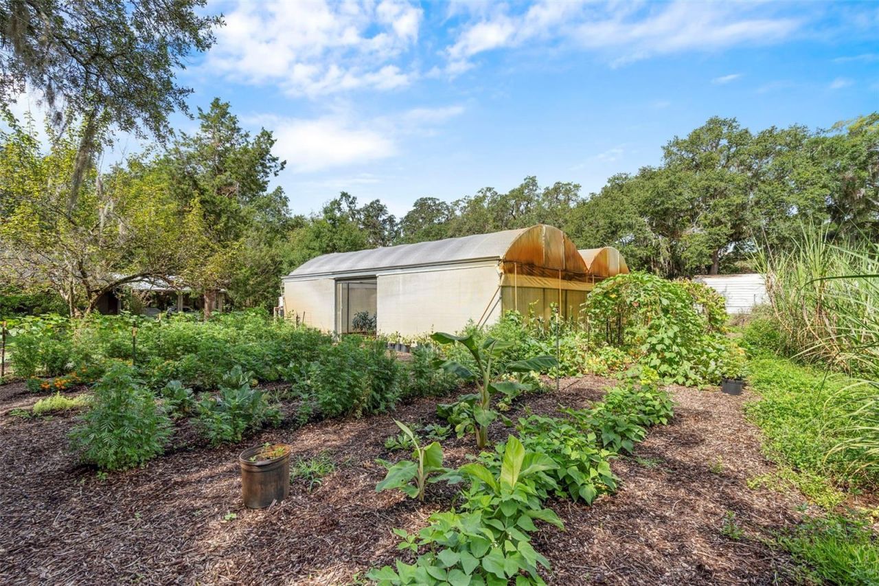 2016 Lewis Road, Leesburg, FL 34748 Photo