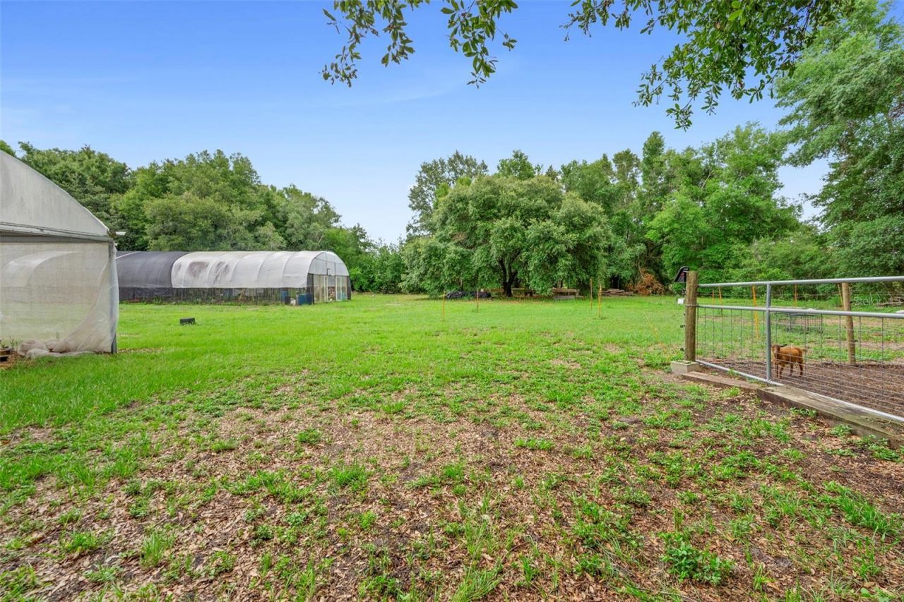 2016 Lewis Road, Leesburg, FL 34748 Photo