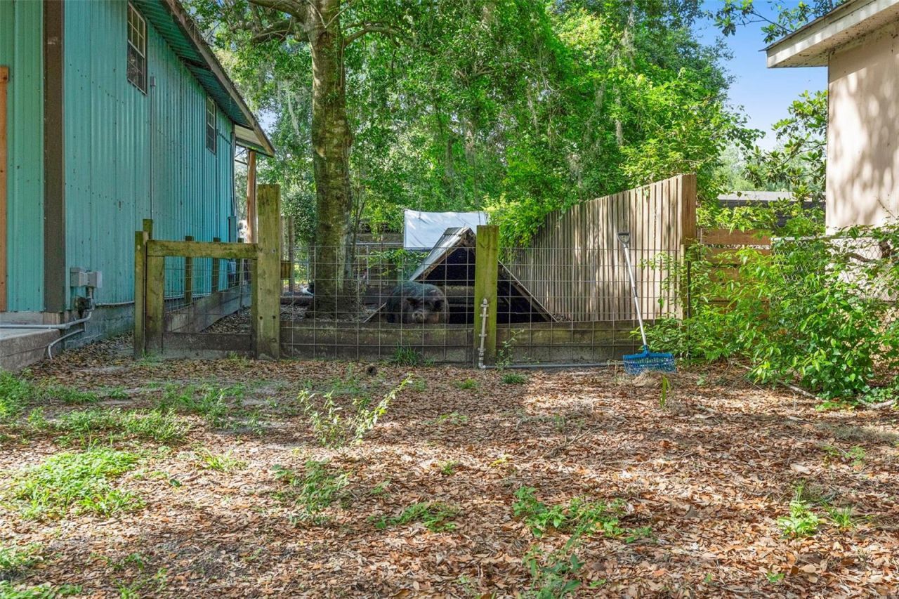 2016 Lewis Road, Leesburg, FL 34748 Photo